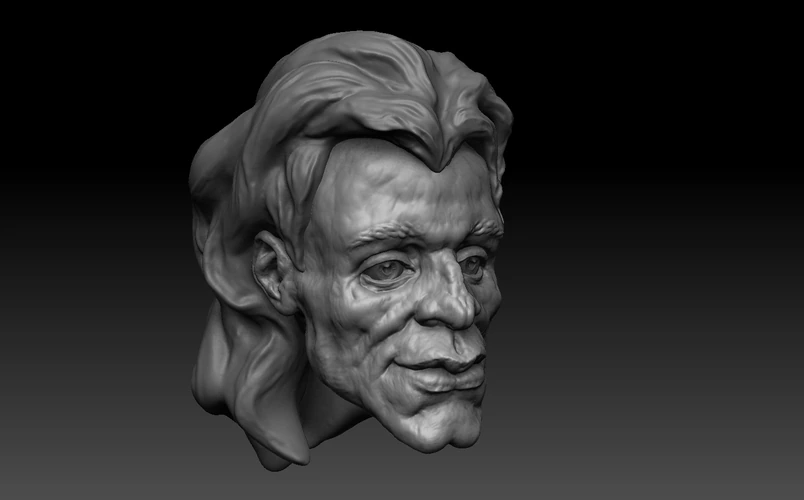 Head of a punk