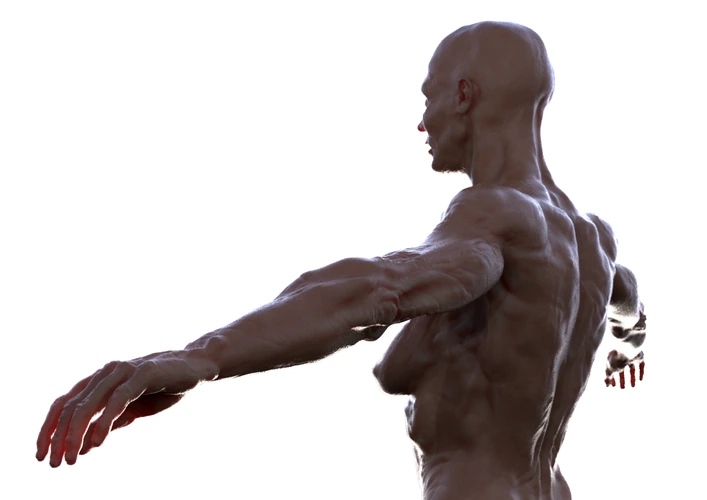 Woman (2. view)