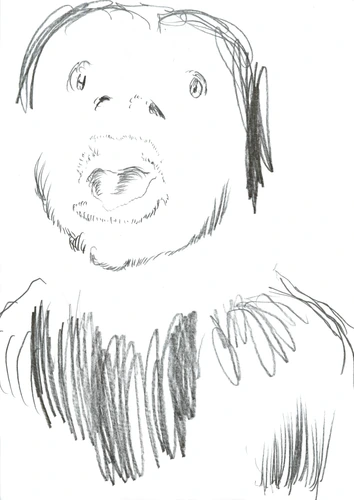 Character 047