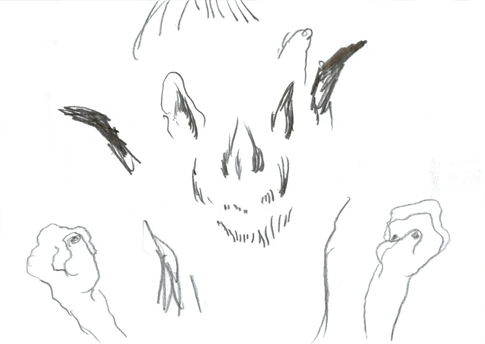 Character 048