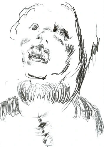 Character 081