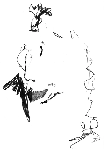 Drawing 114