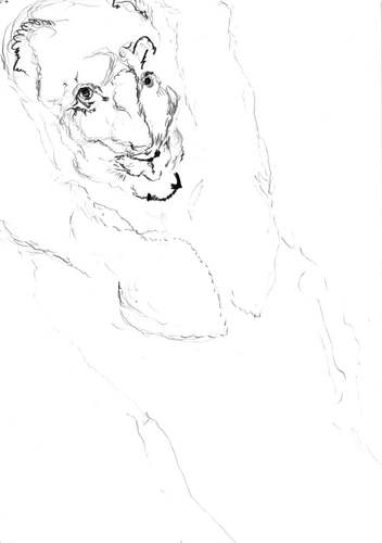 Drawing 120