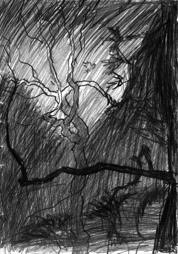 Drawing 151