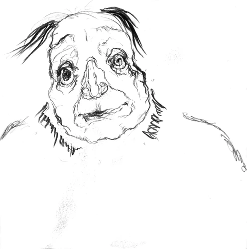 Drawing 164
