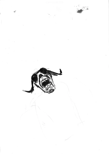Drawing 167