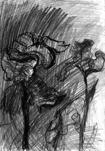 Drawing 206