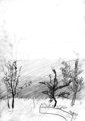Drawing 207