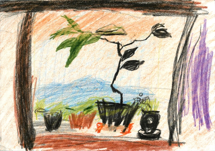 Drawing 239