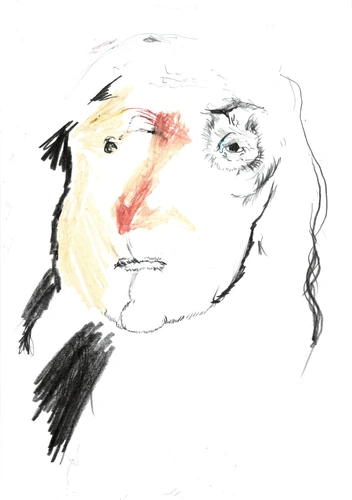 Drawing 241