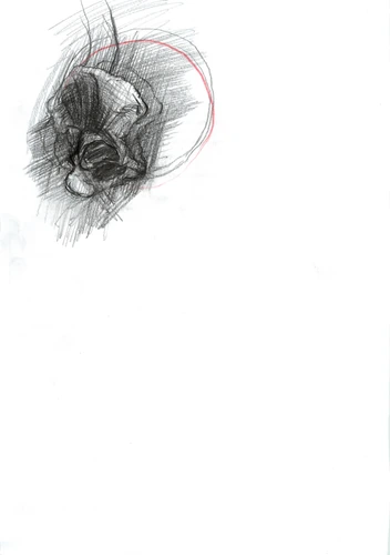 Drawing 242