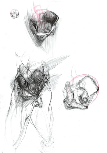 Drawing 243