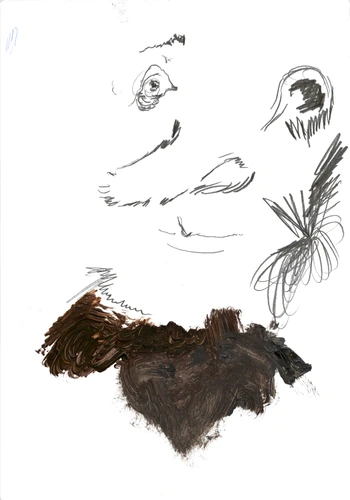 Drawing 244