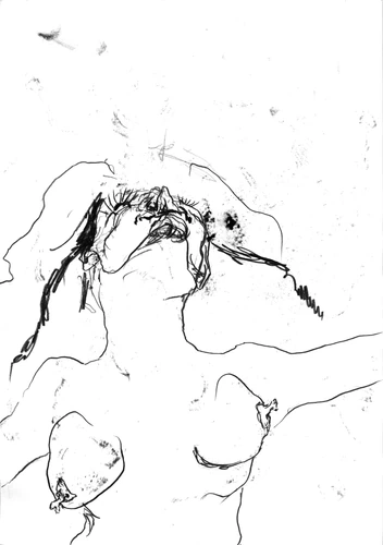 Drawing 252