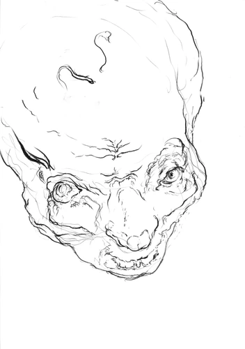 Drawing 258