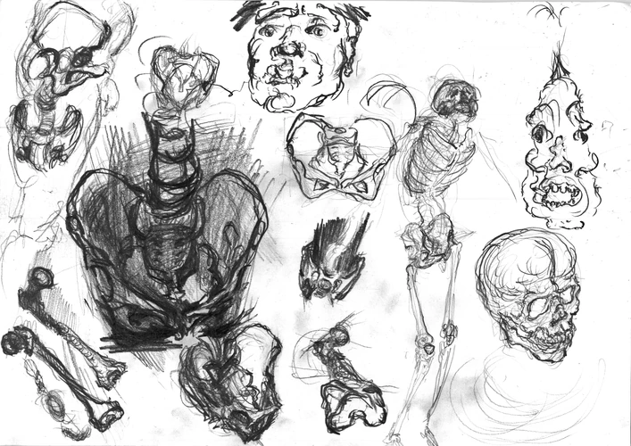 Study 003