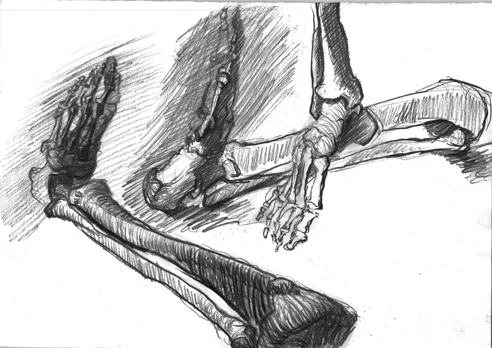 Study 012