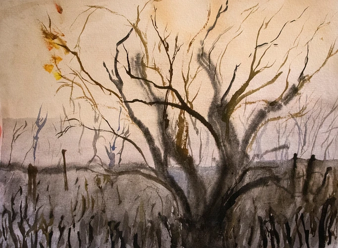 A tree during autumn by the Sekčov rook