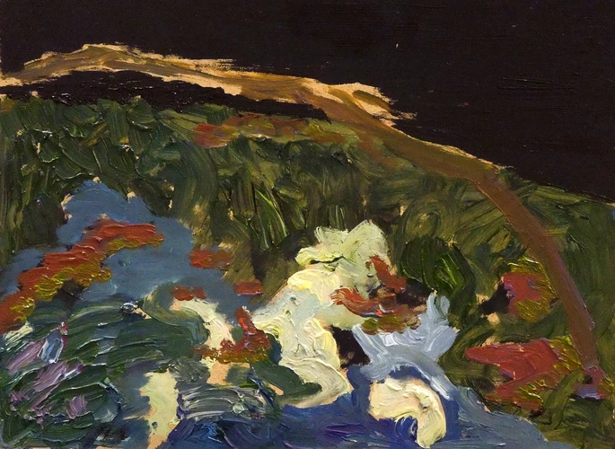 Stream with a fallen log