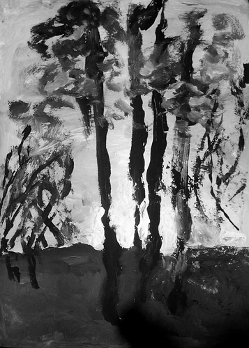 Sunset by the rook Sekčov