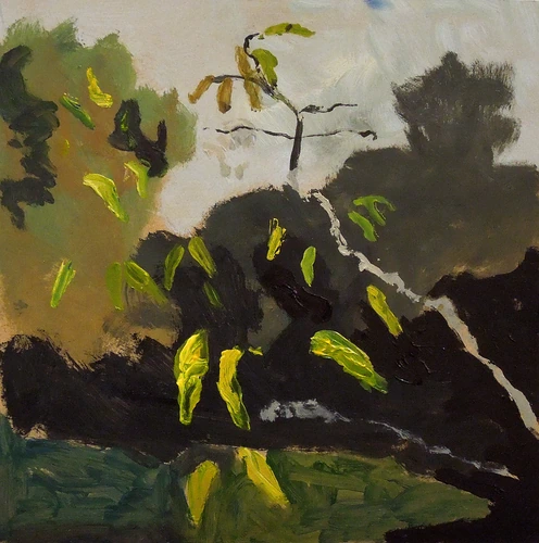 Trees by the Sekčov stream