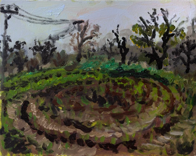 A field in winter in Nitra