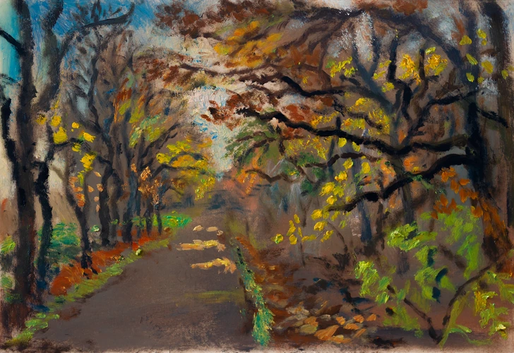 A road in Jelenec