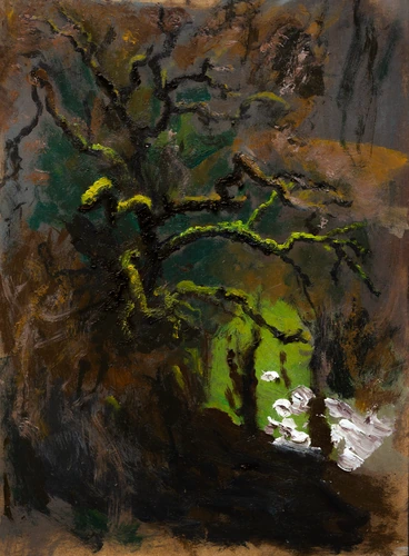 A tree in winter in Kremnica