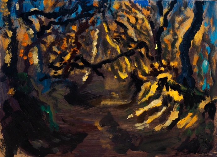 Evening in forest in Štitáre