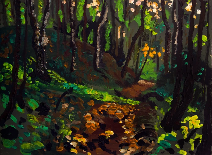 In the forest by the Bujačia lúka in Kremnica