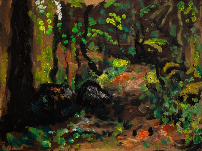 Inside forest in Kremnica