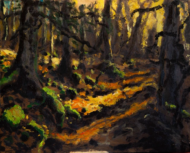 Inside forest near Alžbetka cottage in Kremnica II