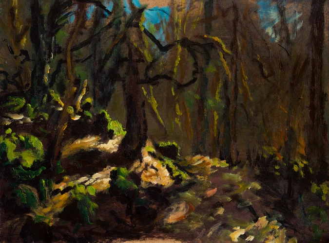 Inside summer forest near Alžbetka cottage in Kremnica II