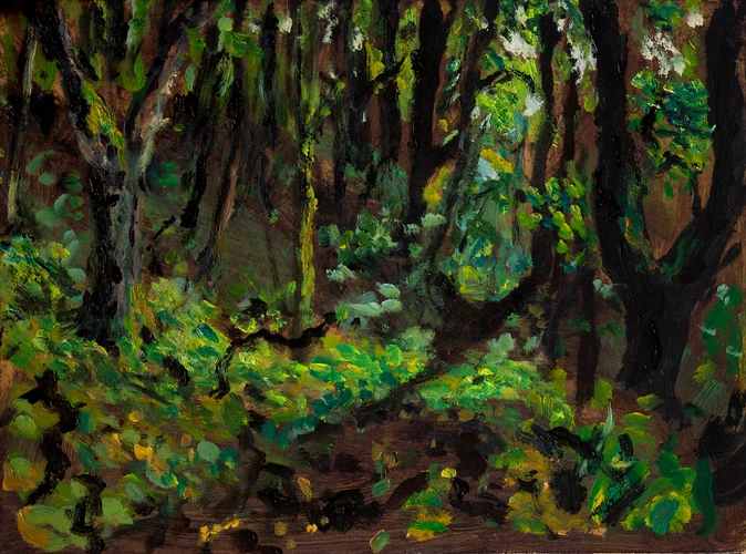 Inside summer forest near Bujačia lúka in Kremnica