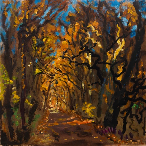 Jelenec sunny autumn road