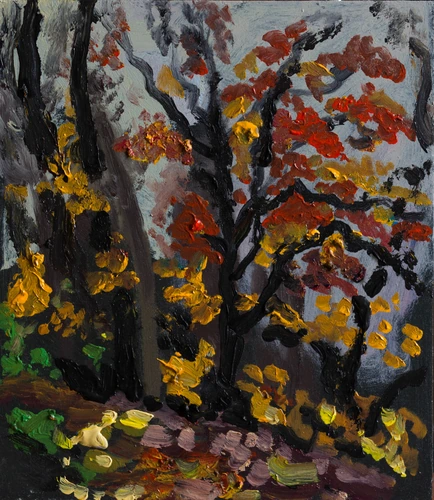 Late autumn forest in Kremnica