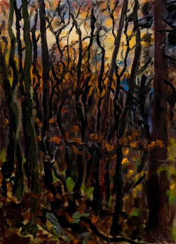 Late autumn near Bujačia lúka in Kremnica