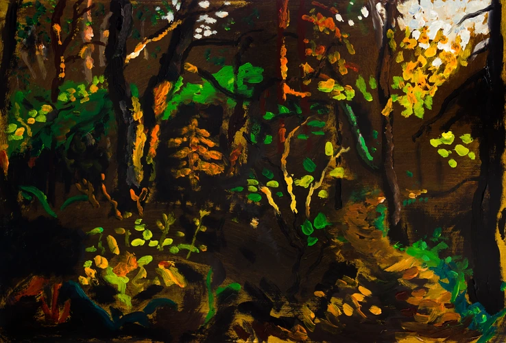Summer deep in the forest in Kremnica