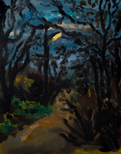 The evening road in Nitra