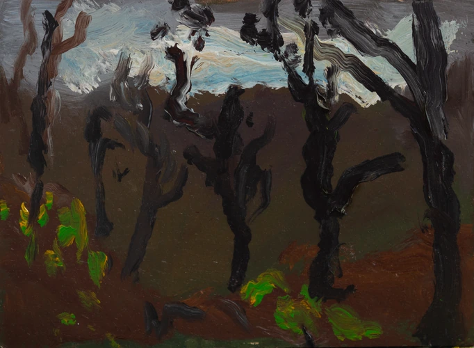 The storm begins by Bujačia lúka in Kremnica