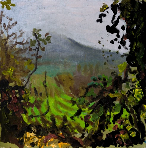 View at the Zobor hill