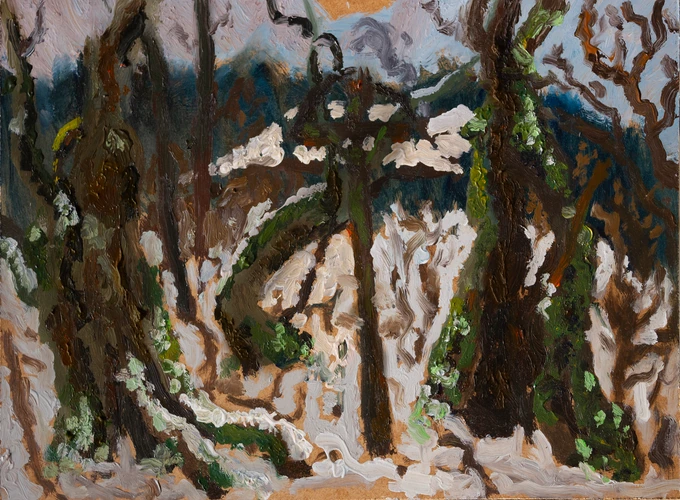 Winter near Bujačia lúka in Kremnica