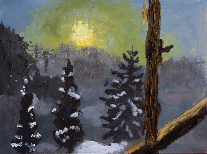 Winter view from the window in Kremnica IV