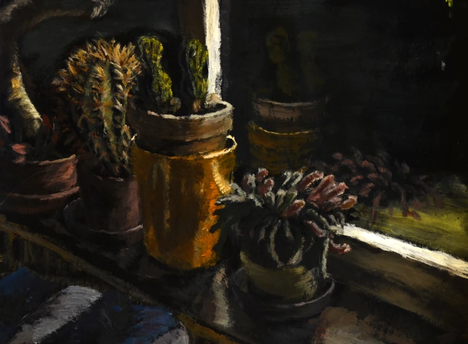 Cactuses