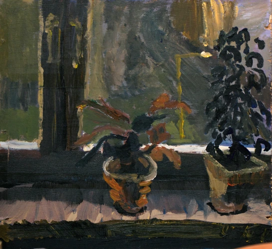 Flowerpots by the window in livingroom