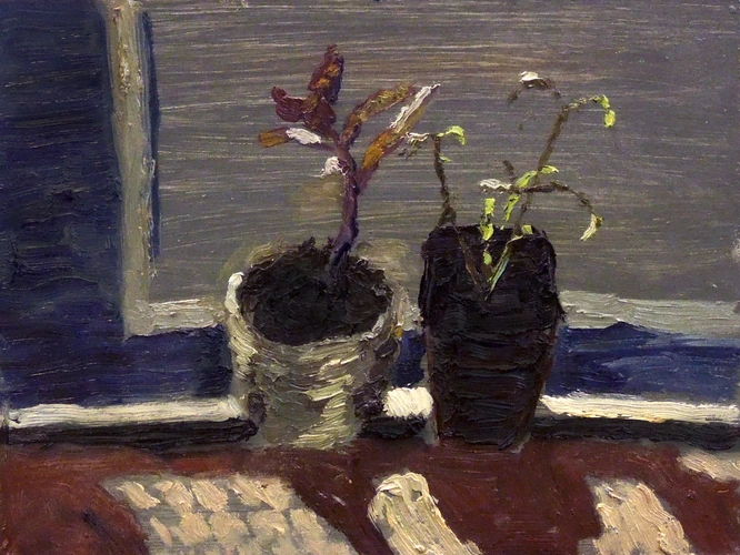 Flowers on the balcony