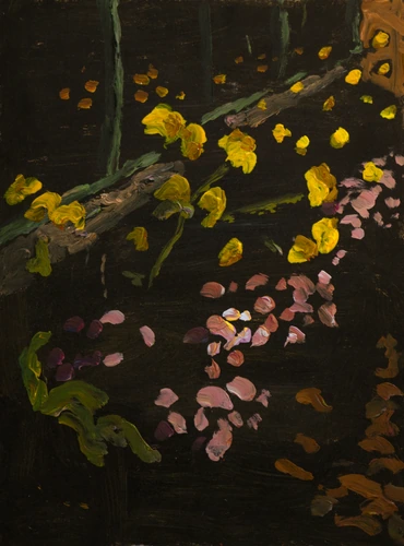 Little garden