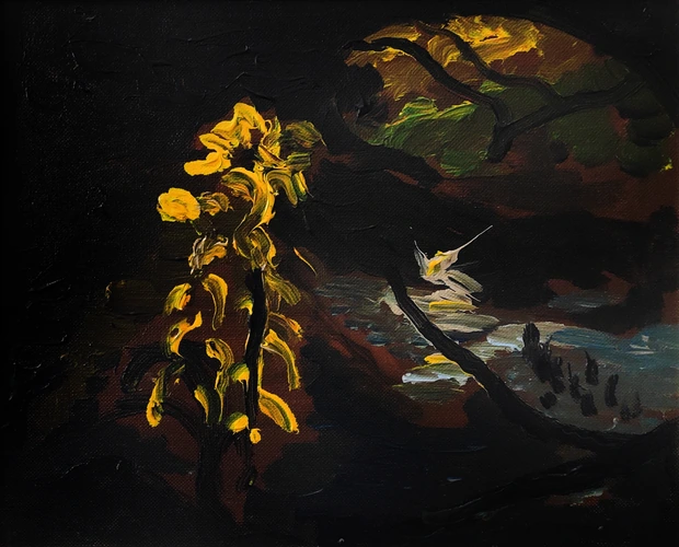 Yellow wild plants at the Sekčov stream